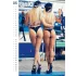 Grote billen kalender - 2026