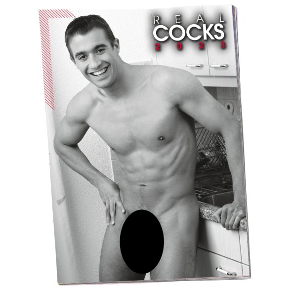 Naakt Mannen Kalender - 2026 (10 stuks)