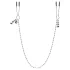 Fifty Shades of Grey - Tepelklemmen met ketting - verstelbaar metaal