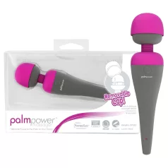PalmPower vibrator met verwisselbare kop