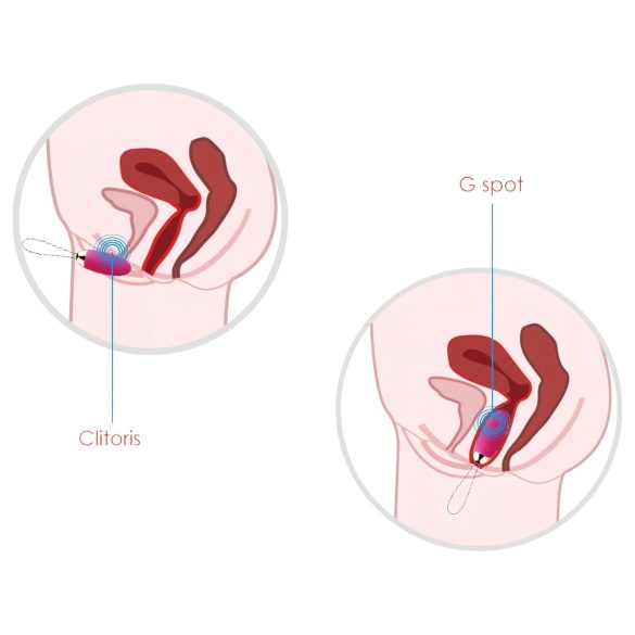 Svakom Elva - Oplaadbaar Vibrerend Ei met Afstandsbediening (rood)