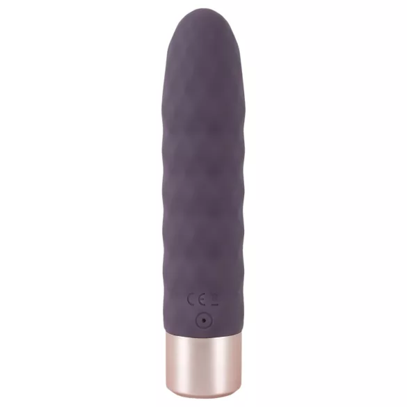 You2Toys - vibrator staaf - oplaadbaar - paars