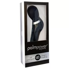   PalmPower Extreme Wand - oplaadbare massager vibrator - zwart