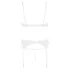 Abierta Fina - bh set - transparant kanten design - zwart