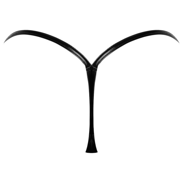 Noir - glanzende string (zwart)