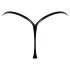 Noir - string slip - glanzend effect - zwart - L/XL