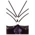 Abierta Fina - strass body (zwart) - 80B/M
