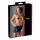 Cottelli - minirok met gesp - glanzend - zwart - L