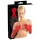 LATEX - lange unisex handschoenen - rood - M