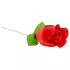 Panty Rose - string slip met rozensteel - rood - S/L