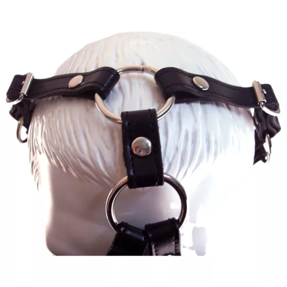 Rouge - leren mask en mondknevel - zwart
