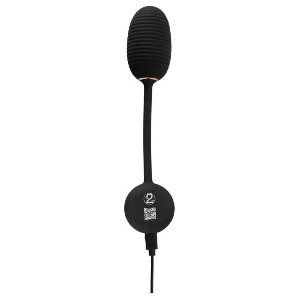 You2Toys - Vibratie-ei met afstandsbediening - zwart
