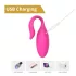 Sweet Play - draagbaar app-gestuurd vibratie-ei (roze)