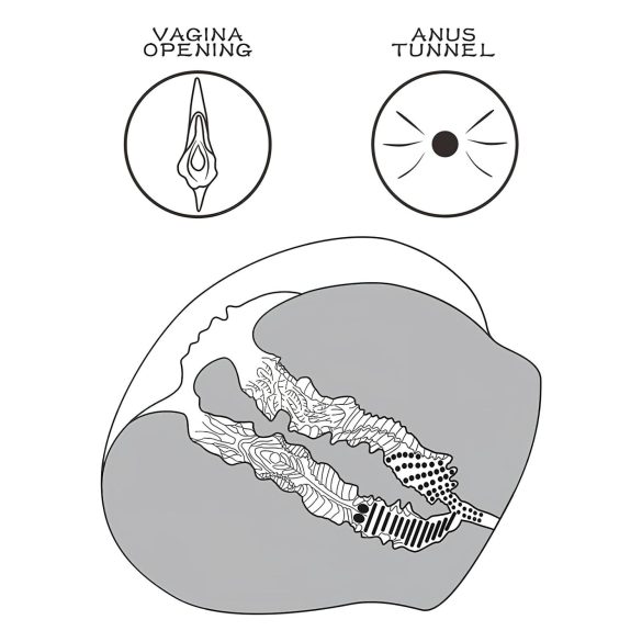 Lovetoy Streetgirl's 12 - kunstvagina torso met string - donker huidskleur
