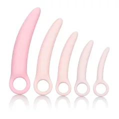 CalExotics Inspire - vaginadilatator set - siliconen - roze