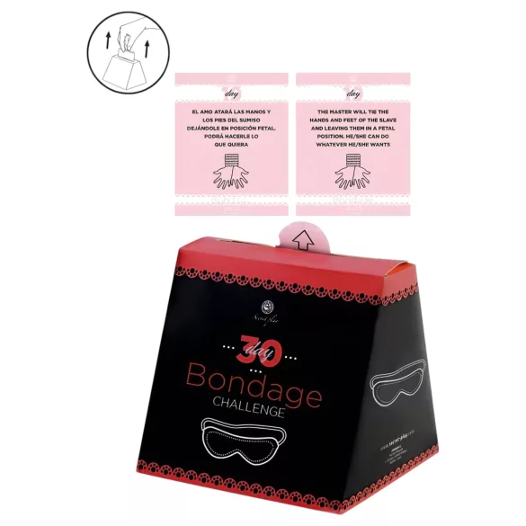 Secret Play 30 Day Bondage Challenge - bondage uitdaging kaartspel (Engels, Spaans)