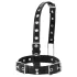Latetobed - halsband met neushaak - zwart