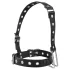 Latetobed - halsband met neushaak - zwart