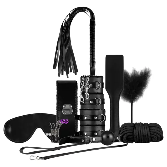 Secret Pleasure Chest - gevorderde BDSM-set - 14-delig (zwart)