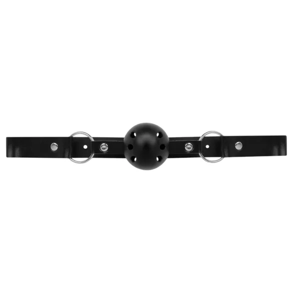 Secret Pleasure Chest - gevorderde BDSM-set - 14-delig (zwart)