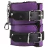 Secret Pleasure Chest - BDSM set - gevorderden - 14-delig