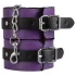 Secret Pleasure Chest - gevorderde BDSM-set (14-delig)
