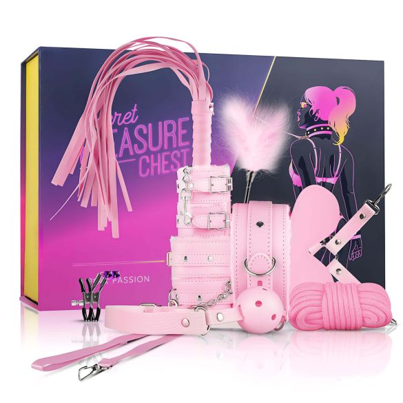 Geheime Genotkist - gevorderden BDSM set - 14-delig (roze)