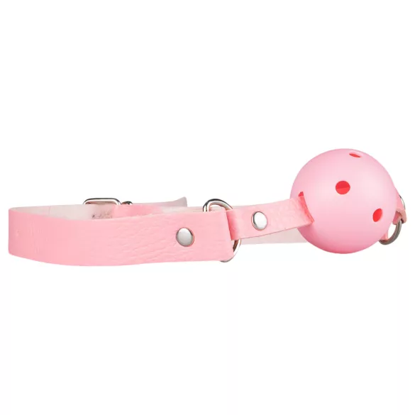 Secret Pleasure Chest - gevorderde BDSM-set - 14-delig (roze)