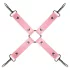Secret Pleasure Chest - gevorderde BDSM-set - 14-delig (roze)