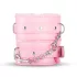 Secret Pleasure Chest - BDSM set voor gevorderden - 14-delig - roze