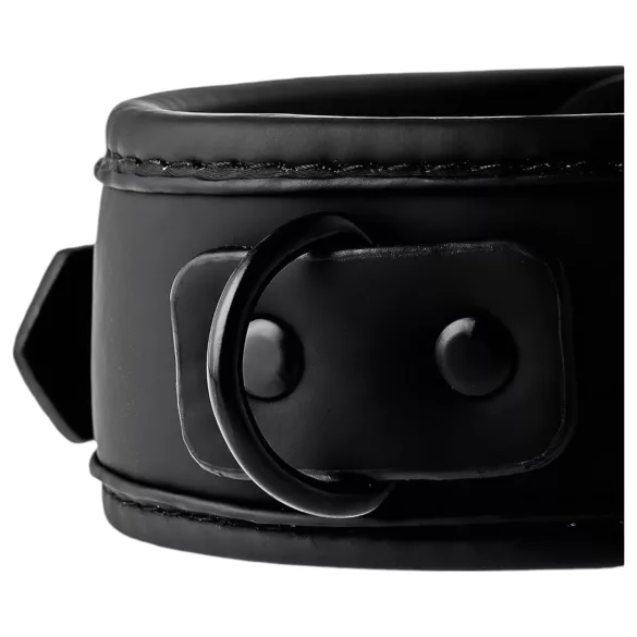 Blaze - halsband en riem - zwart