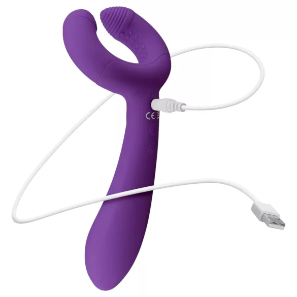Easytoys Couple - oplaadbare waterproof koppel vibrator - paars