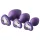 Flirts - anale training set - set van 3 buttplugs - siliconen paars